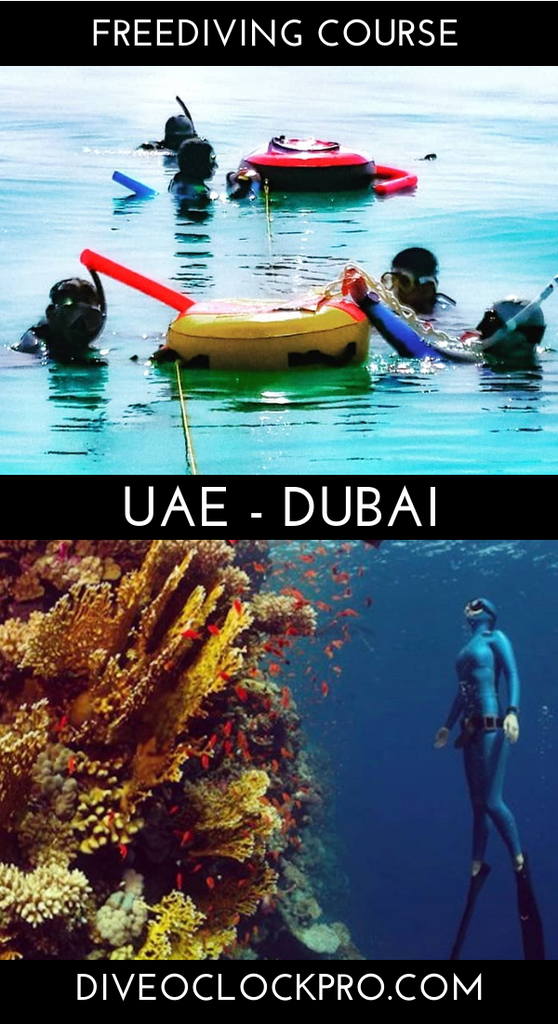 PADI Freediving Level 1 + 2 Course - Dubai - United Arab Emirates
