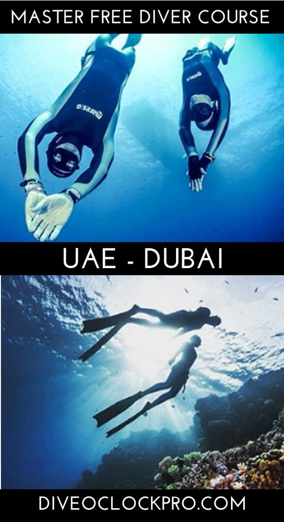 PADI Master Freediver Course - Dubai - United Arab Emirates