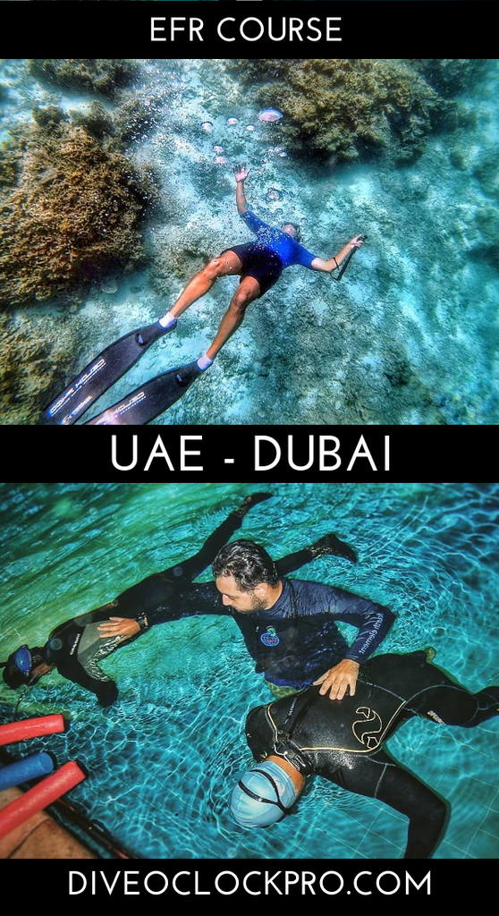 EFR (Emergency First Response) Emergency First Response Course (EFR) - Dubai - United Arab Emirates