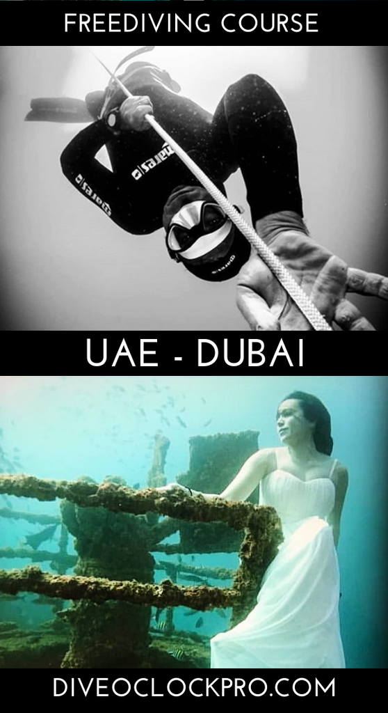 PADI Advanced Freediving Course - Dubai - United Arab Emirates