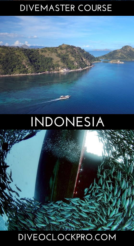 PADI Rescue + EFR + Divemaster Course - Badjo - Indonesia