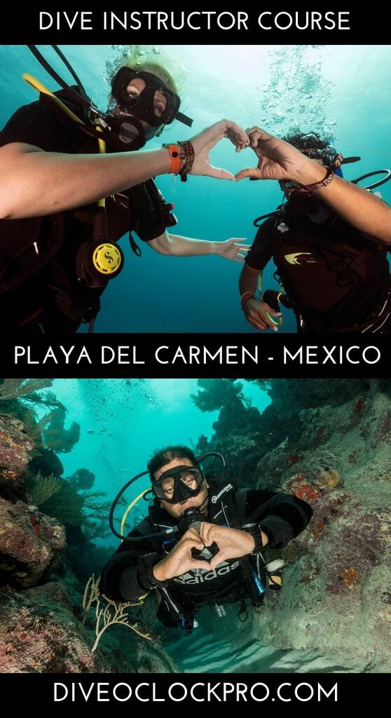PADI Instructor Course IDC Basic Package - Playa del Carmen - Mexico