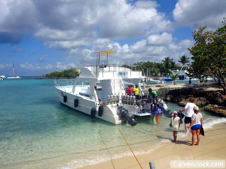 dive instructor course