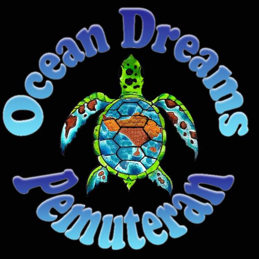 Ocean Dreams Pemuteran