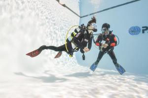 course image