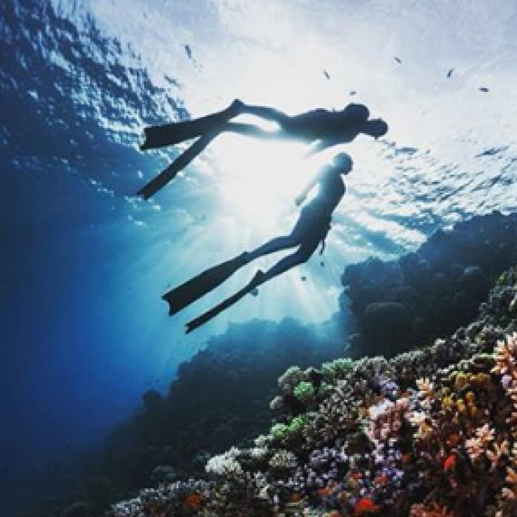 PADI Freediving Level 1 + 2 Course Dubai United Arab Emirates