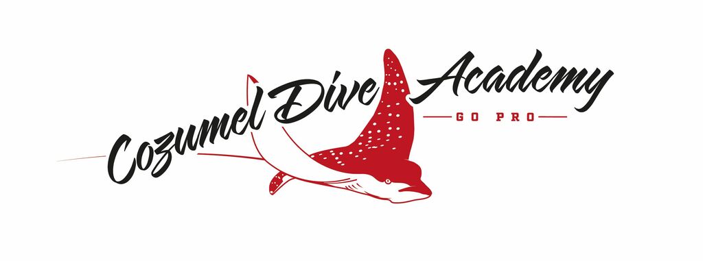 Cozumel Dive Academy