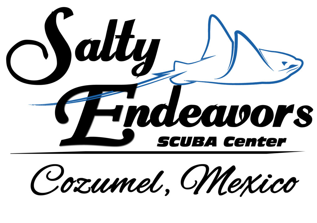 Salty Endeavors Scuba Center