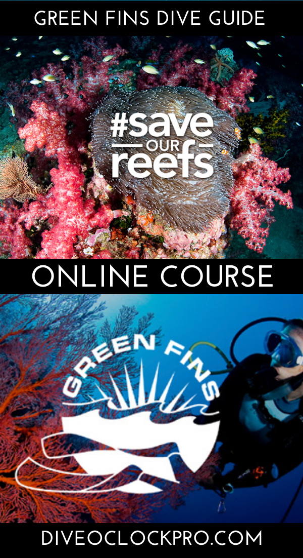 Green Fins Dive Guide e-Course