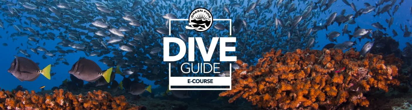 green_fins_dive_guide_e-course dive o'clock
