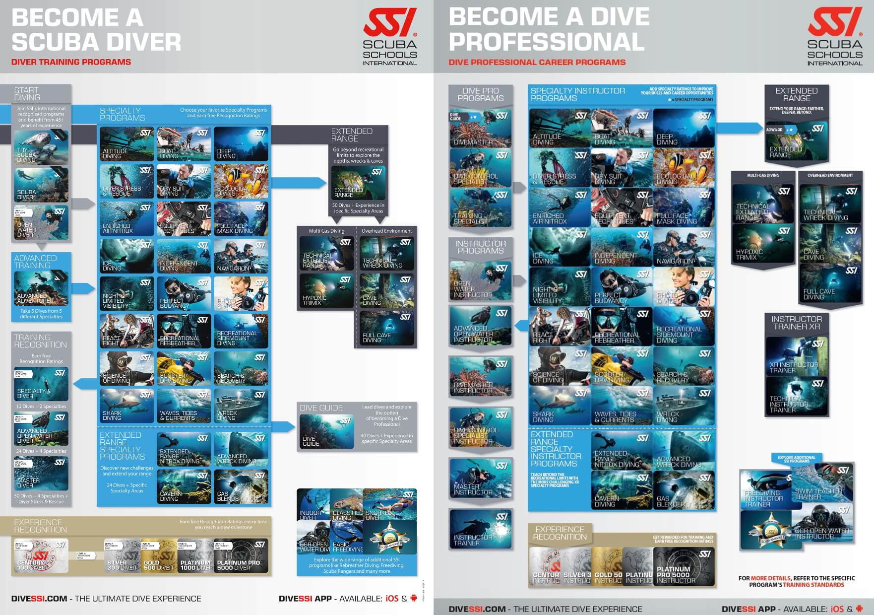 ssi courses flow chart dive o'clock